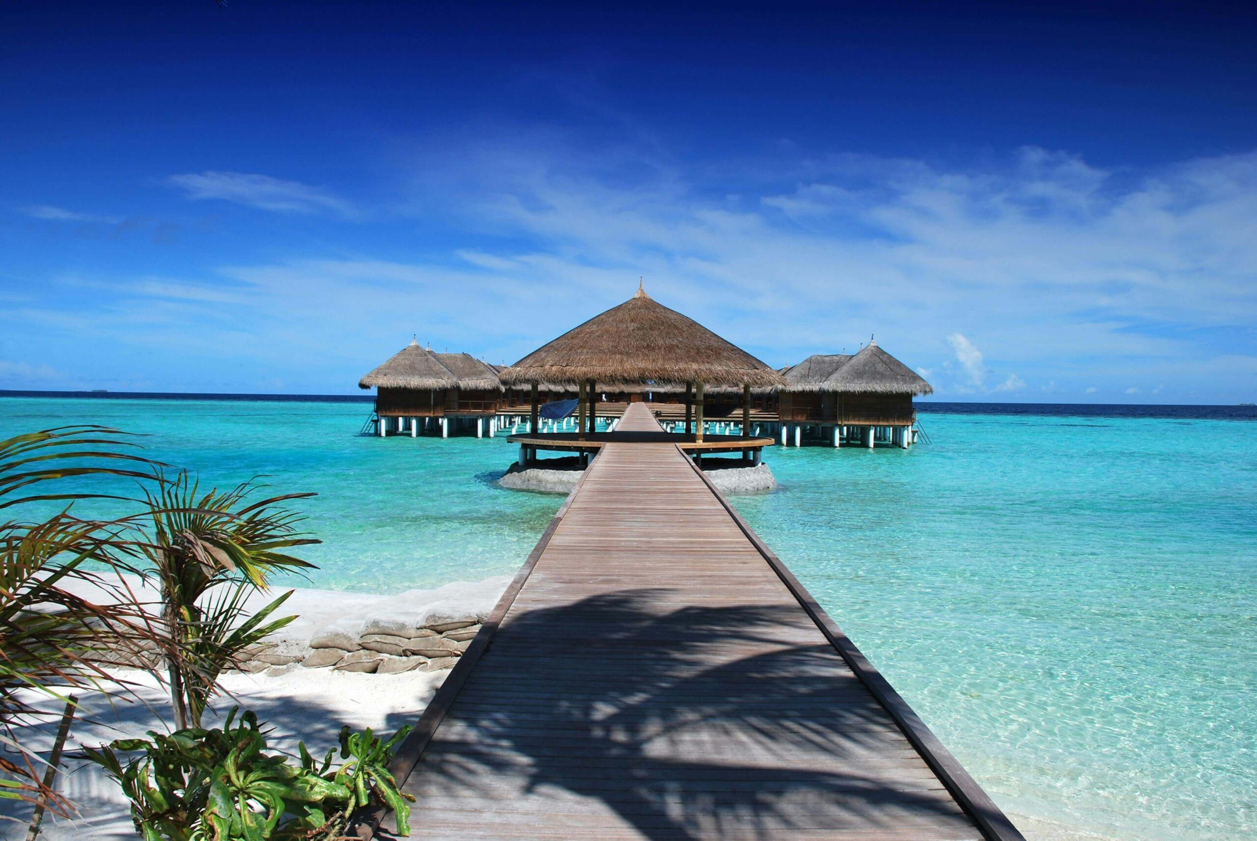 Complete Beginner's Guide to International Travel